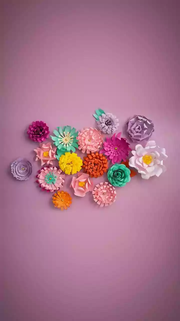 Budget Pookalam Guide: Creative Flower Designs For Onam