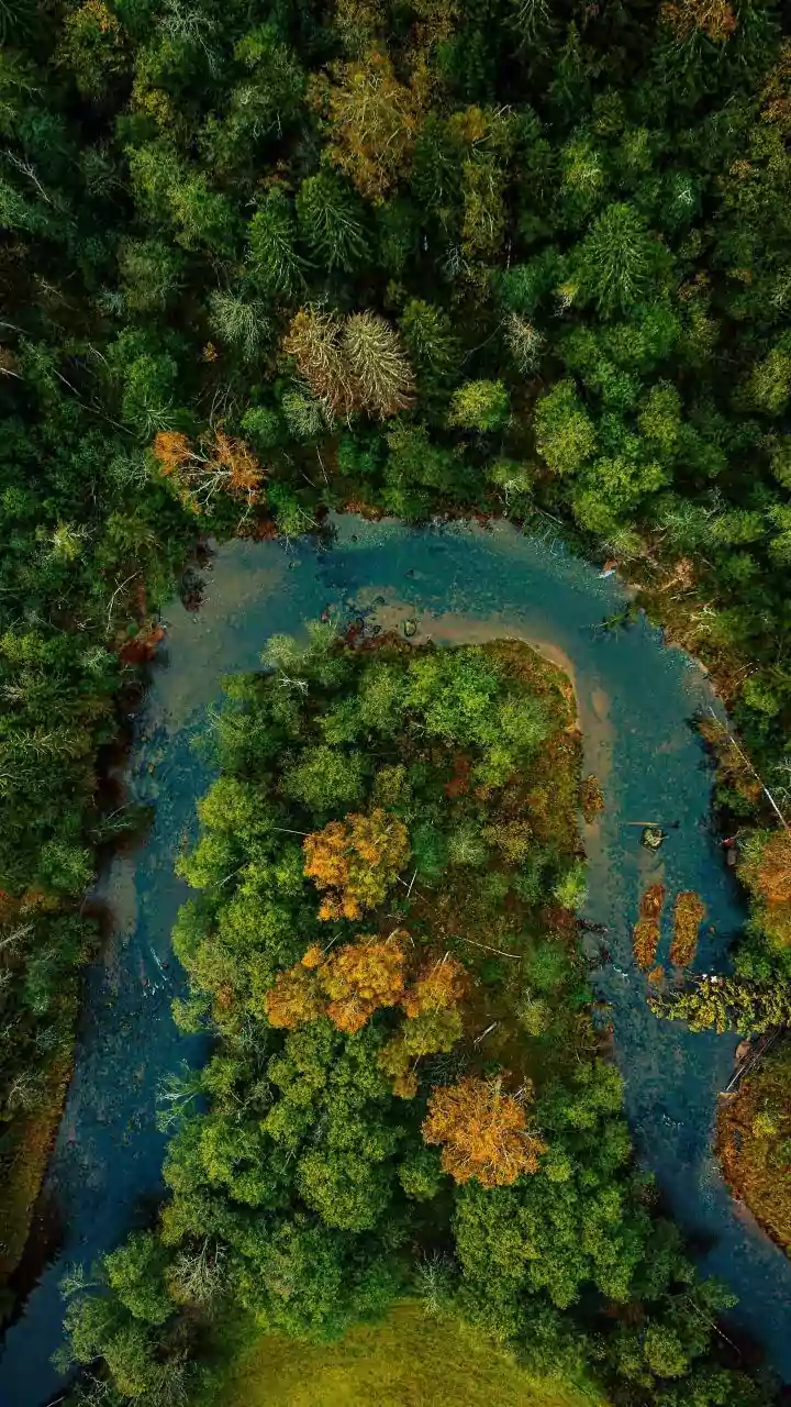 Unveiling the Mammoth: Space's View of a Beaver Dam