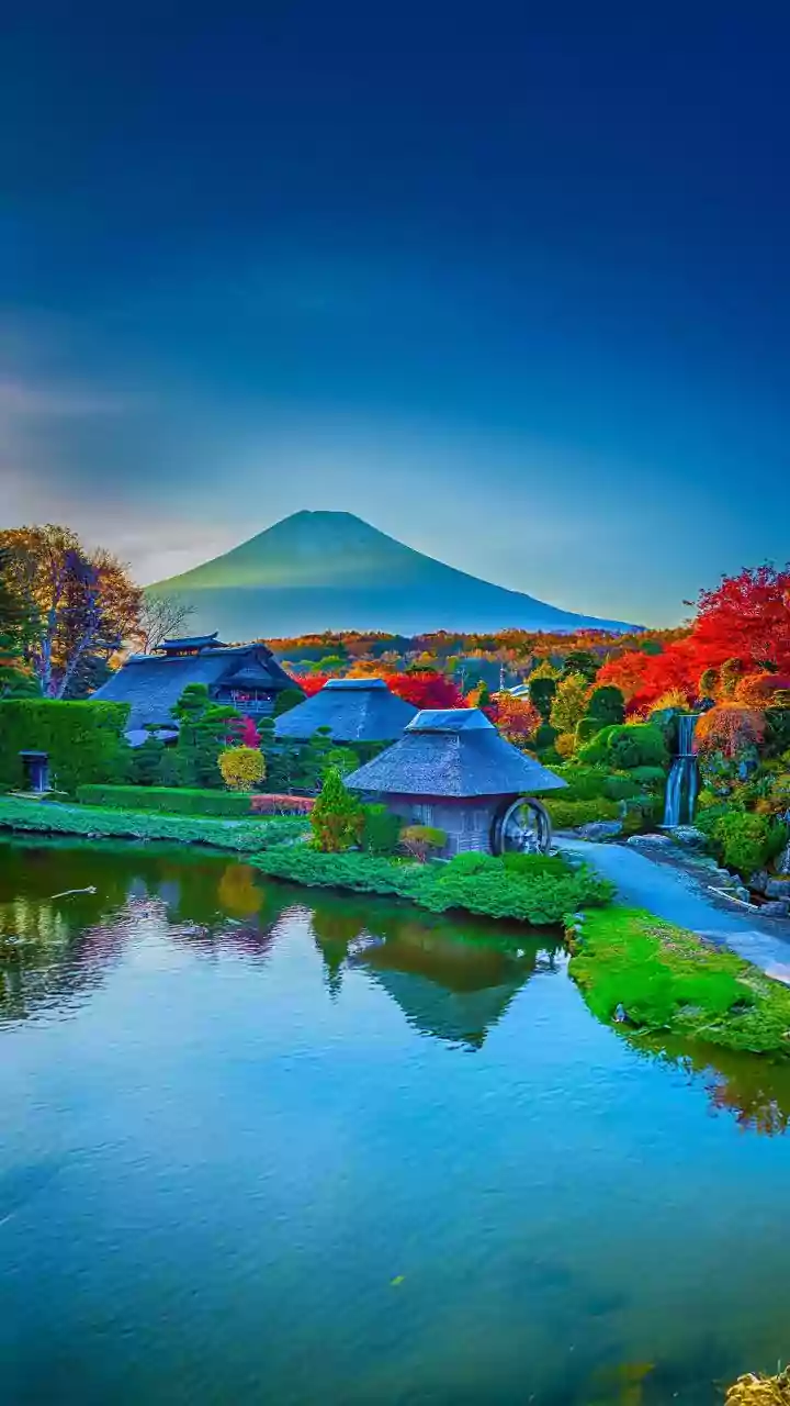 Shoppers Visiting Japan around October-November Need to Know Which System Applies