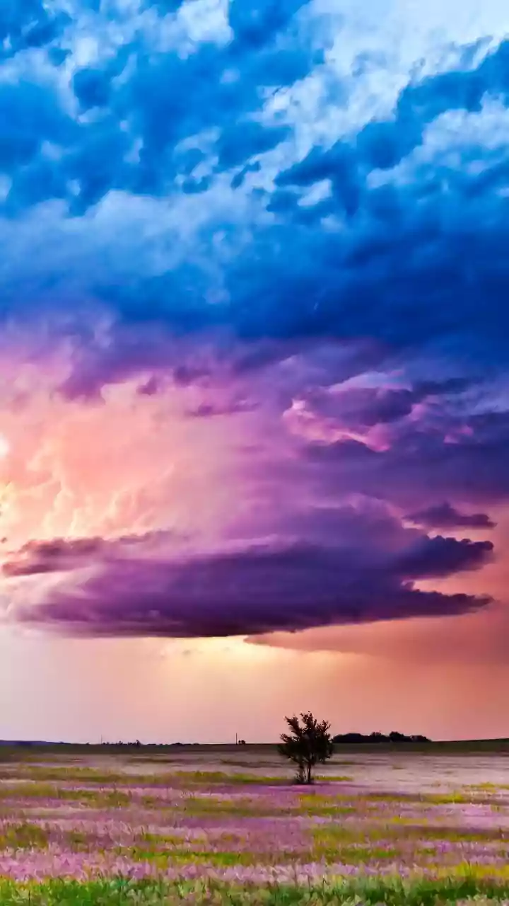 Monsoon Photography In India: How Rain Creates More Dramatic Landscape Scenes