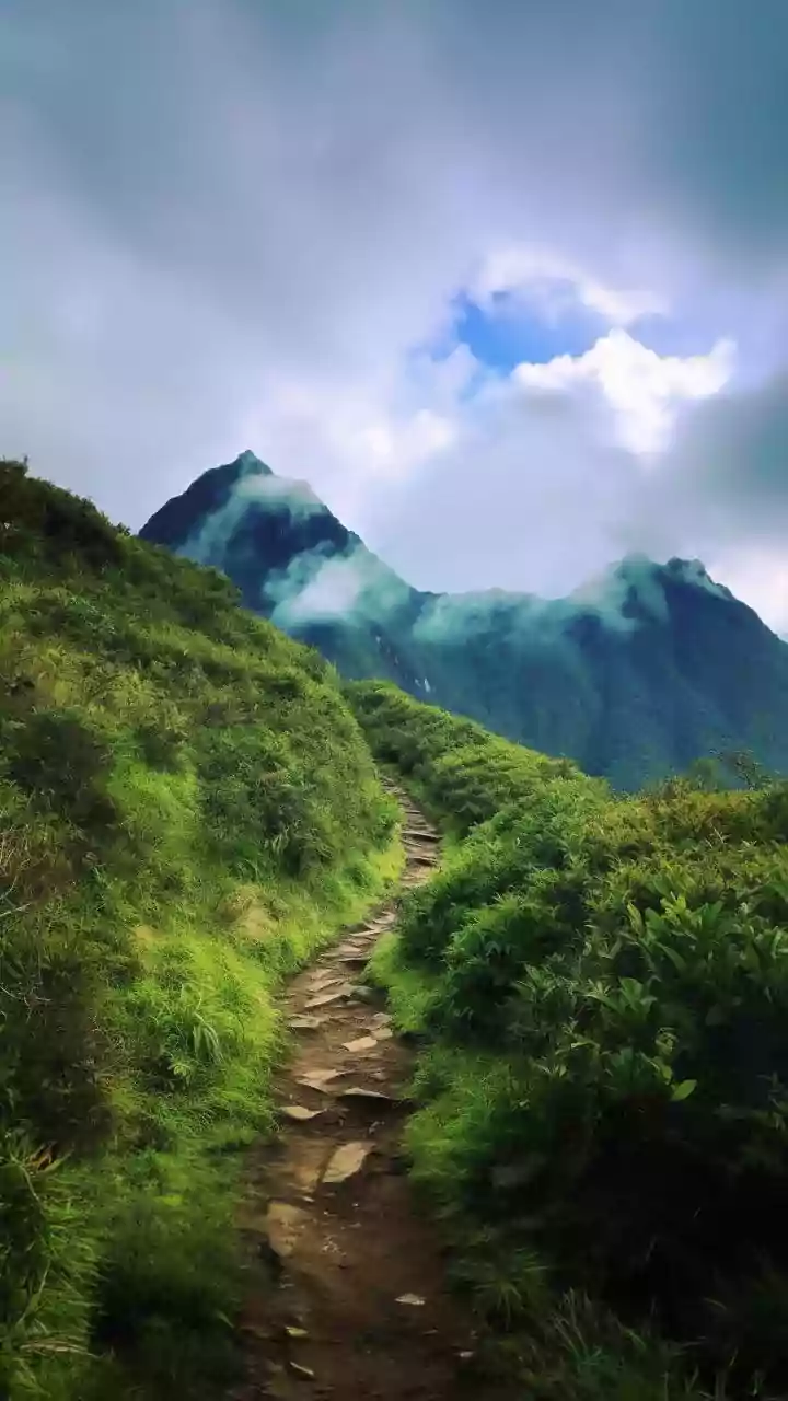 Weekend Nature Trips Feel More Refreshing As Monsoon Covers Popular Trails