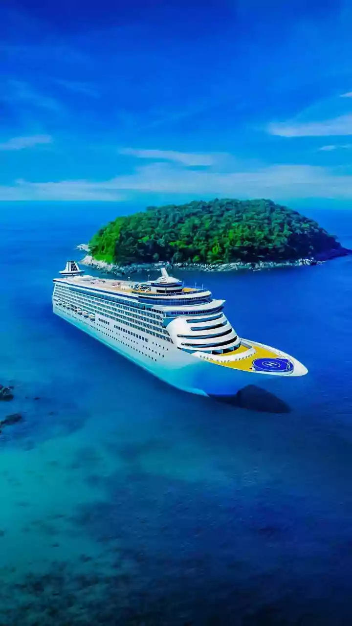 Cruise Ship Passenger Quarantined After Hantavirus Outbreak Shares Experience