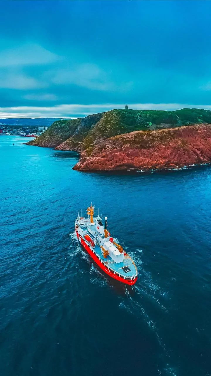 From Plague Ships to Hantavirus: How Sea Outbreaks Forged Global Public Health
