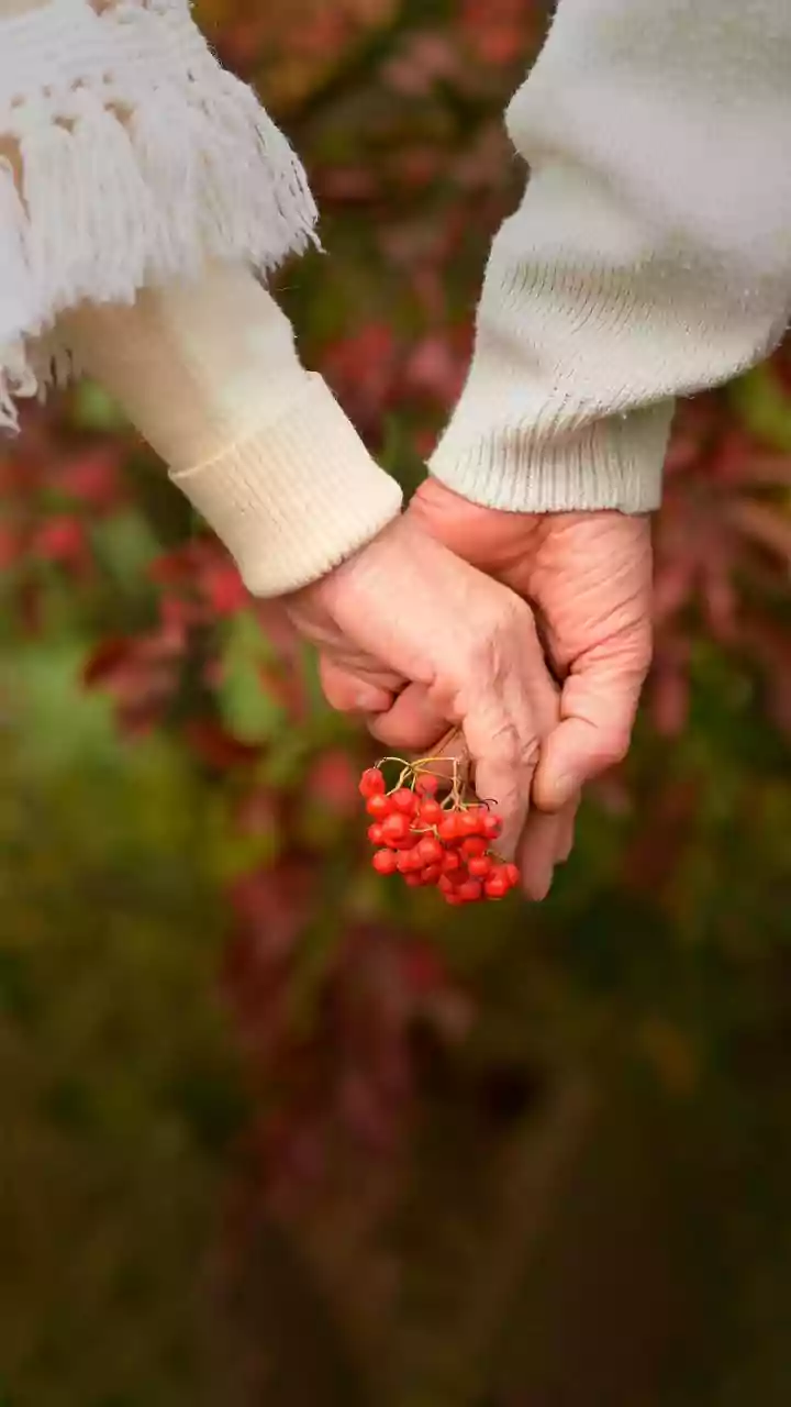 10 Relationship Myths Debunked: Truths to Know!