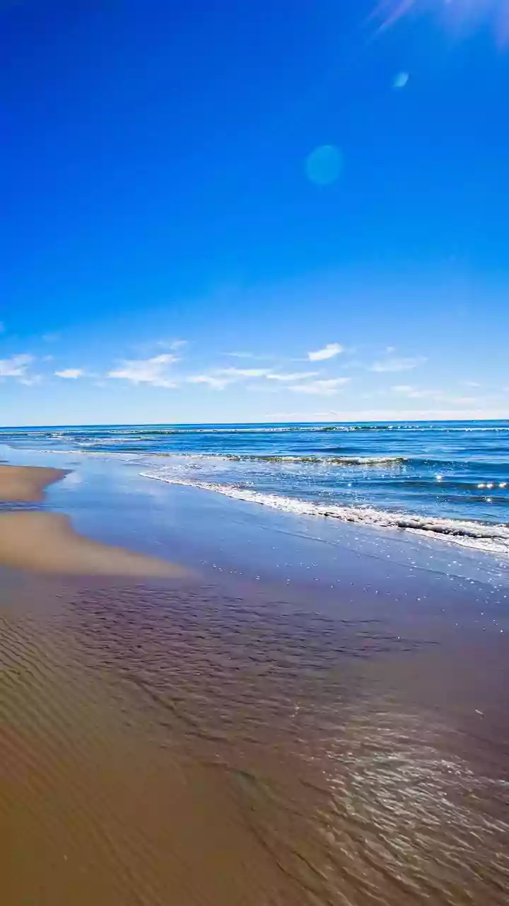 Pisces: Navigate March 31, 2026, with Calm and Collaboration for Success