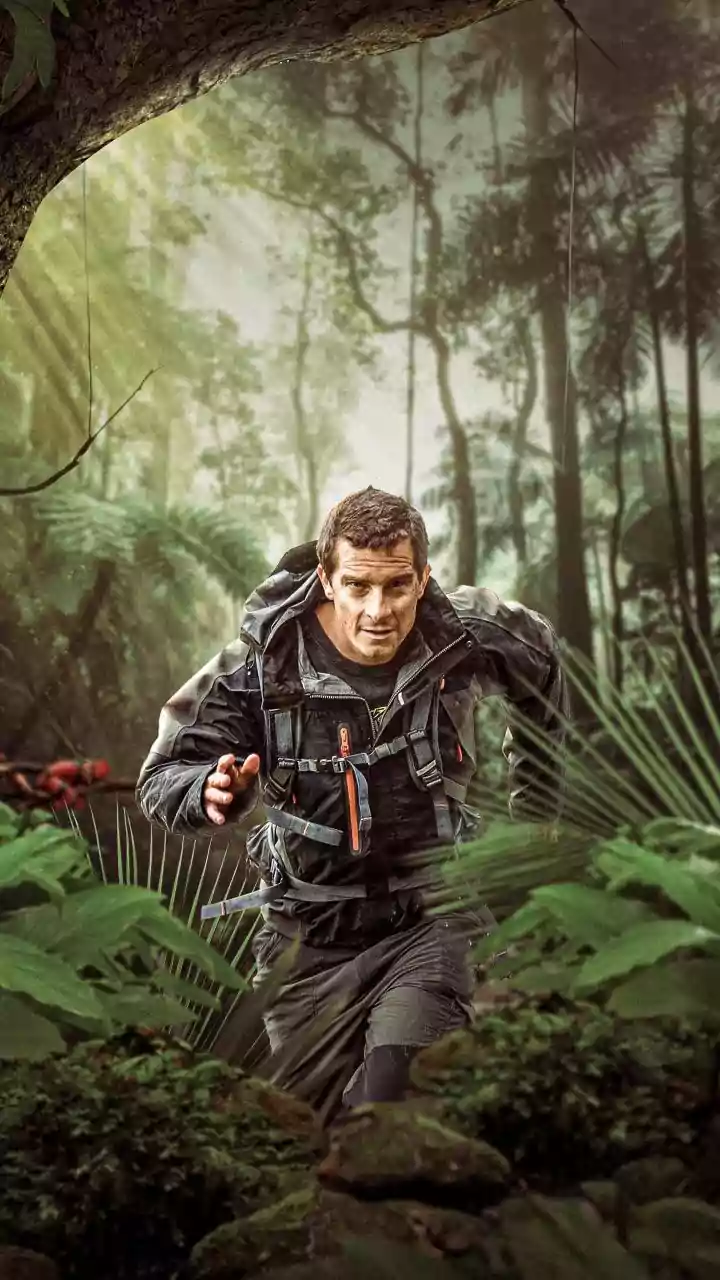 5 Jungle Survival Tips: Learn from Bear Grylls!