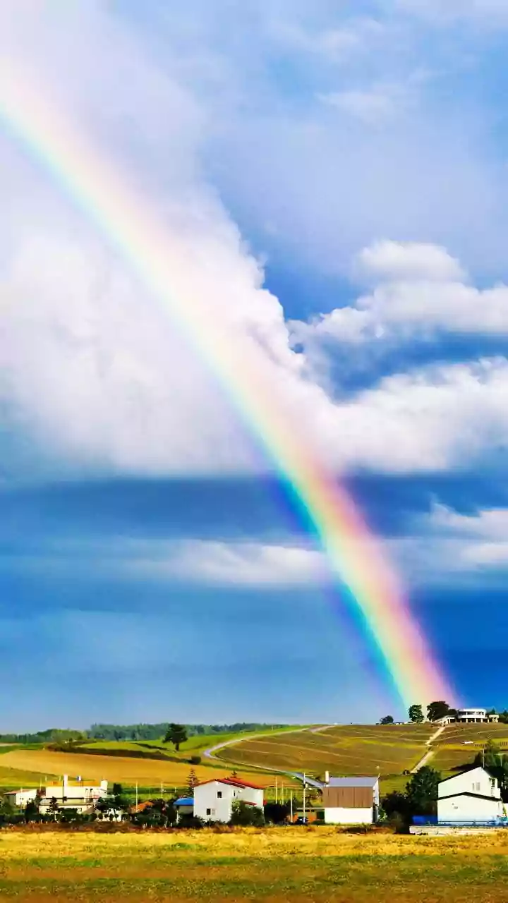 NASA's New Fire Rainbow Picture: Skywatchers Can Compare Ice Crystals and the Sun's Angle before Calling the Bright Arc Fire
