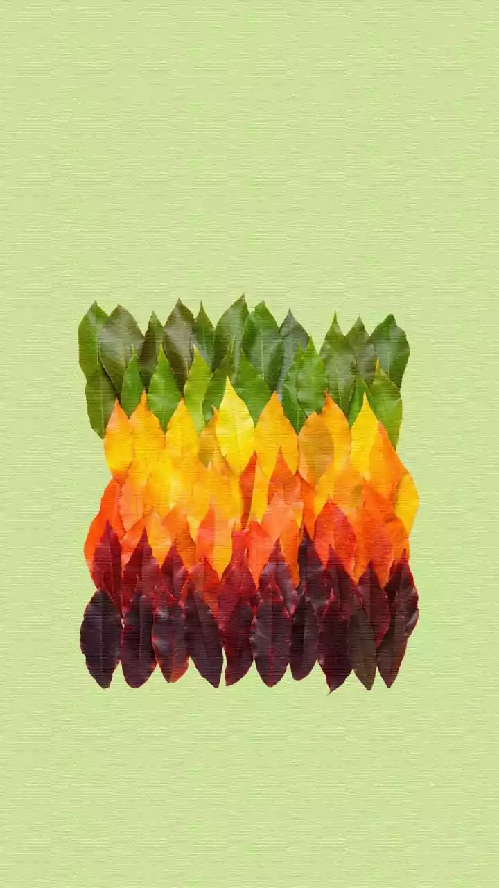 Color Your World: Chic Baby Names Inspired by Nature's Palette