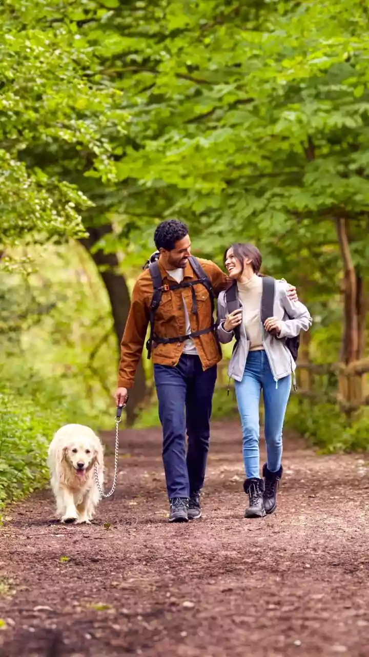 Walking After Meals Is Getting More Attention As Research Studies Simple Ways To Support Metabolic Health