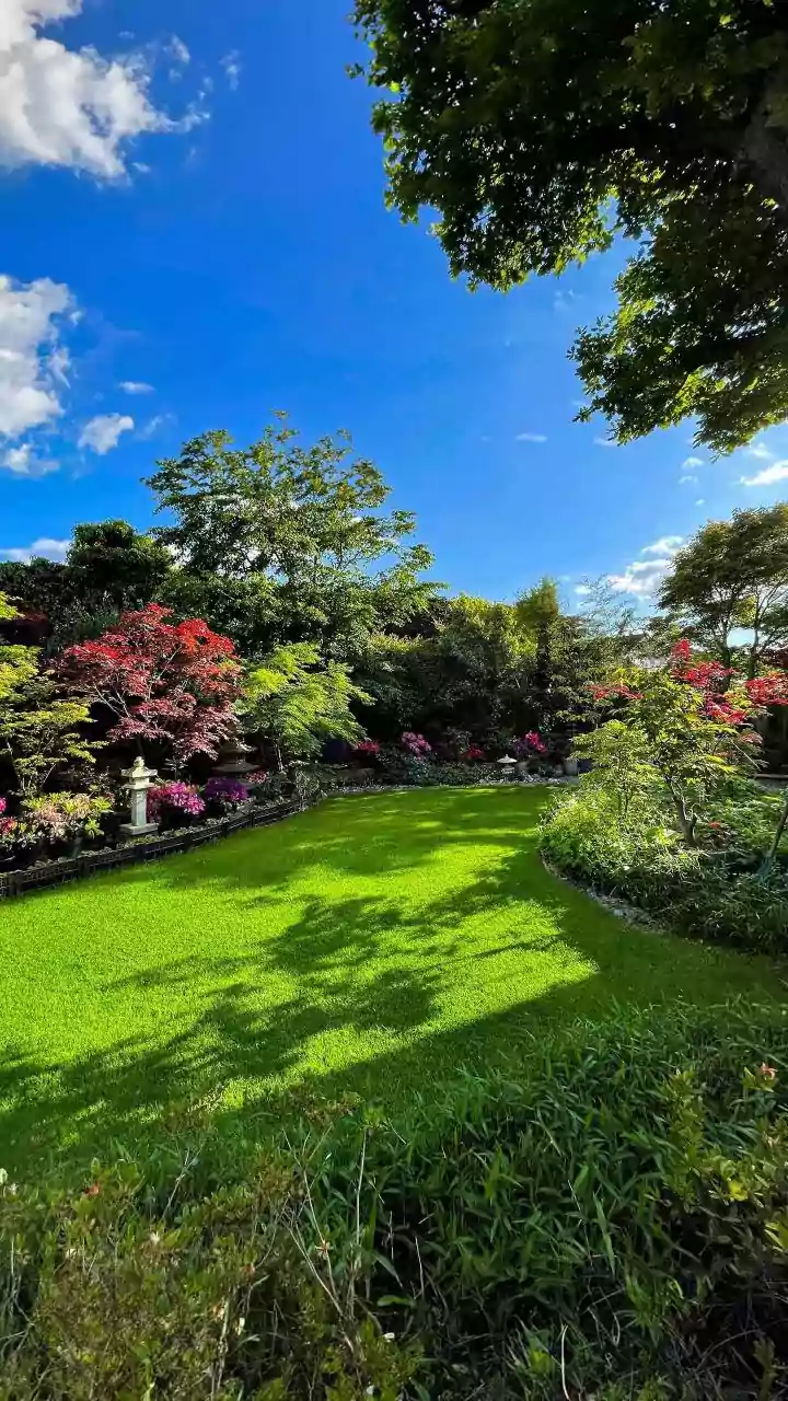 Why Isn't Your Grass Growing? 4 Surprising Reasons and How to Fix Them