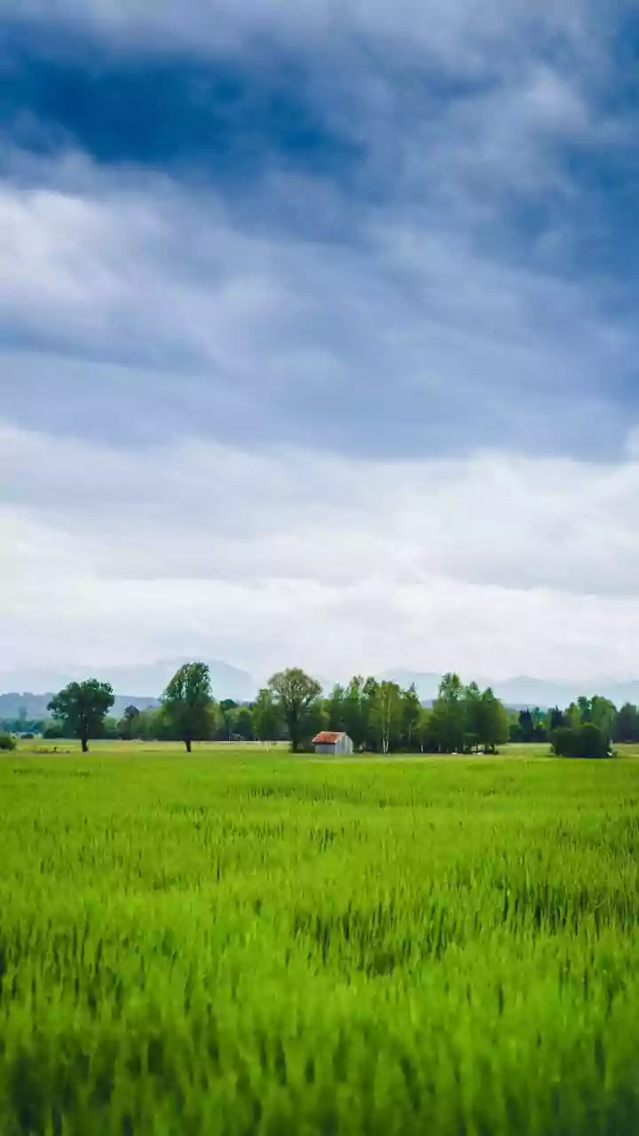 India In Monsoon: Scenic Photography Destinations For Capturing Lush Green Landscapes