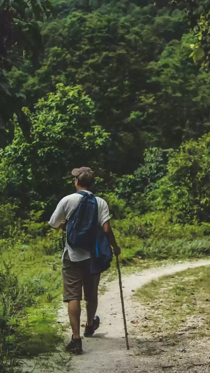 5 Jungle Survival Tips from Bear Grylls!