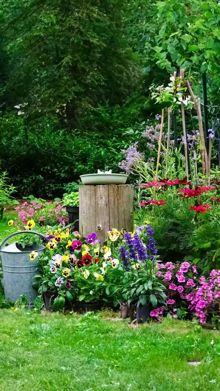 Scented Soap: The Gardener's Secret Weapon Against Pests!