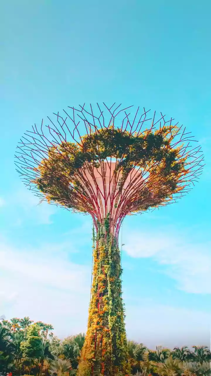 Singapore's Indian Visitor Boom Is Changing How Repeat Travellers Explore the City