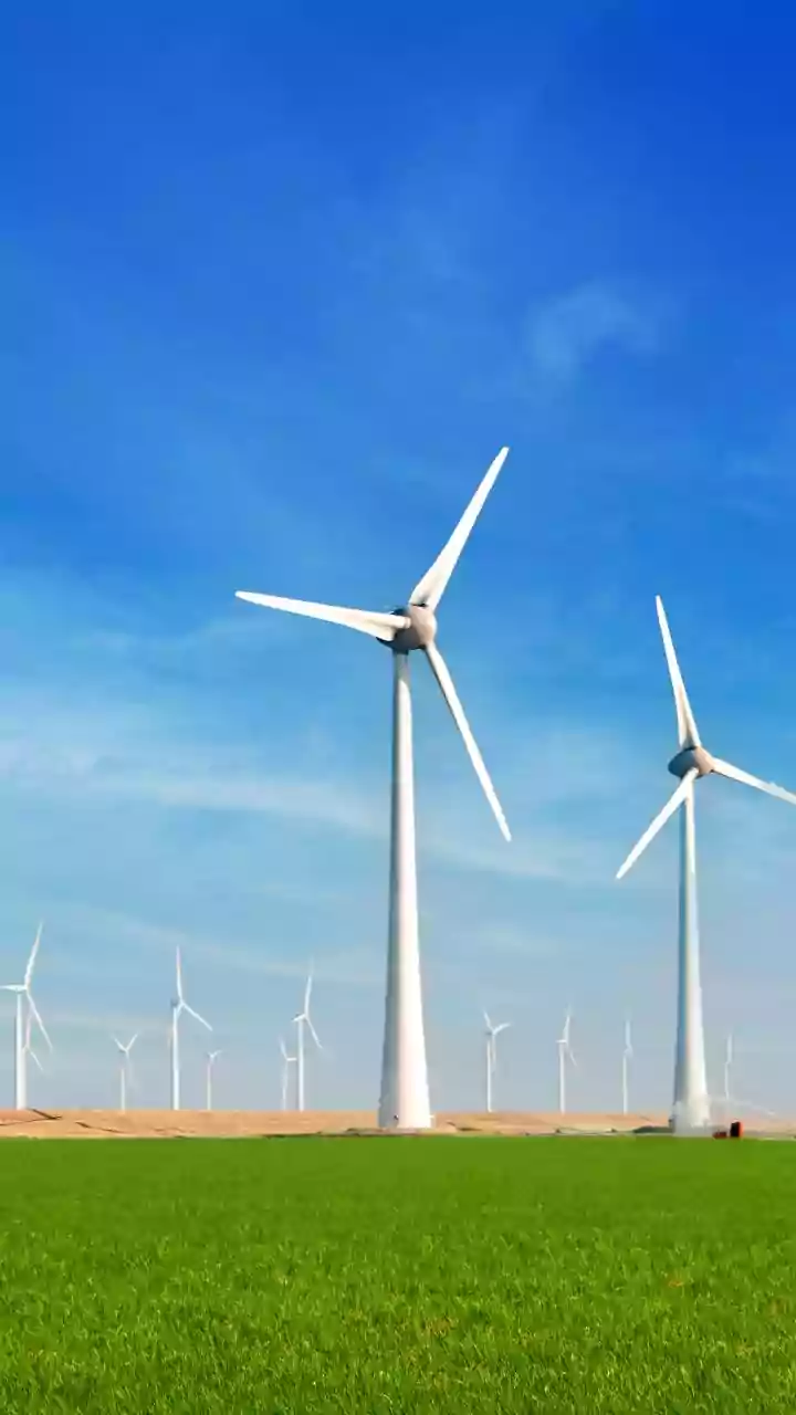 Adani Green's profit nosedives, but clean energy growth shines