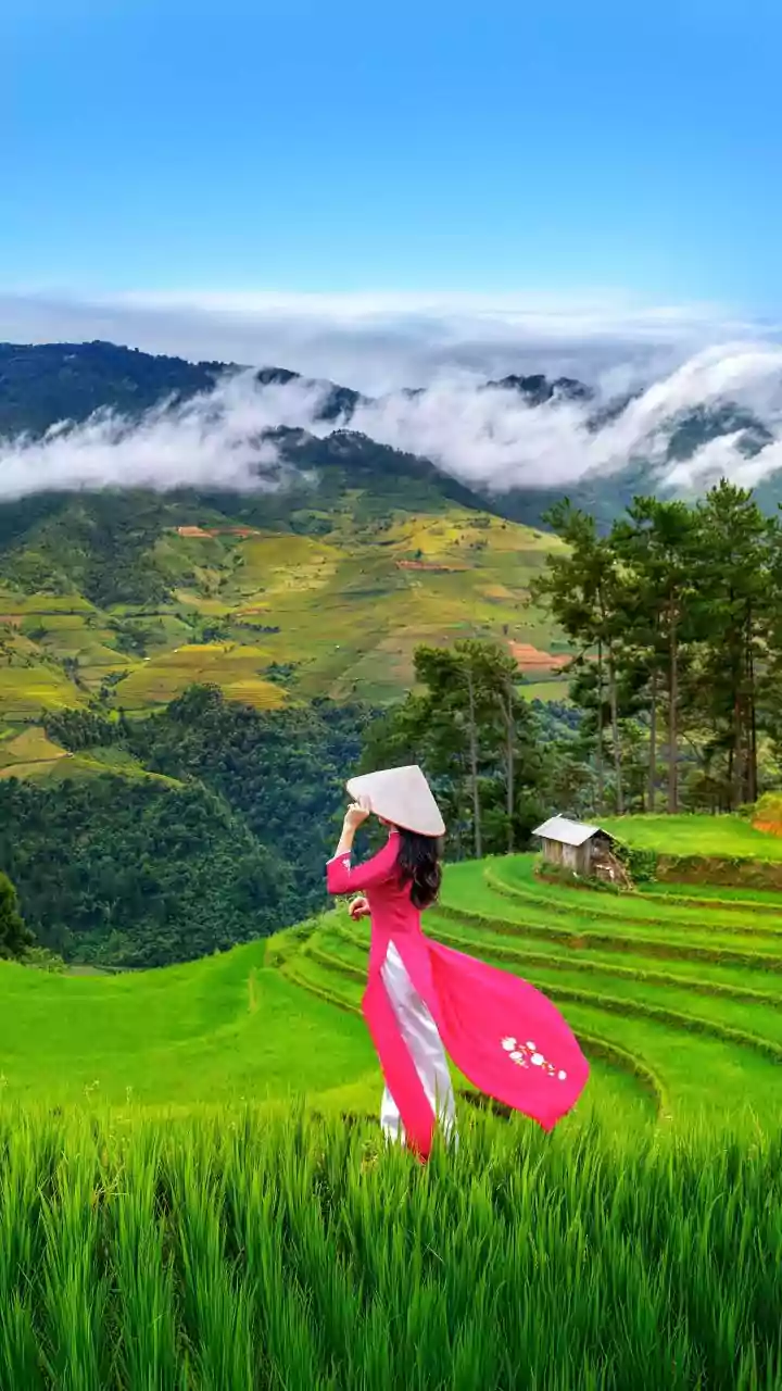Vietnam's Island Star Posts 46% Growth in Tourism Revenue
