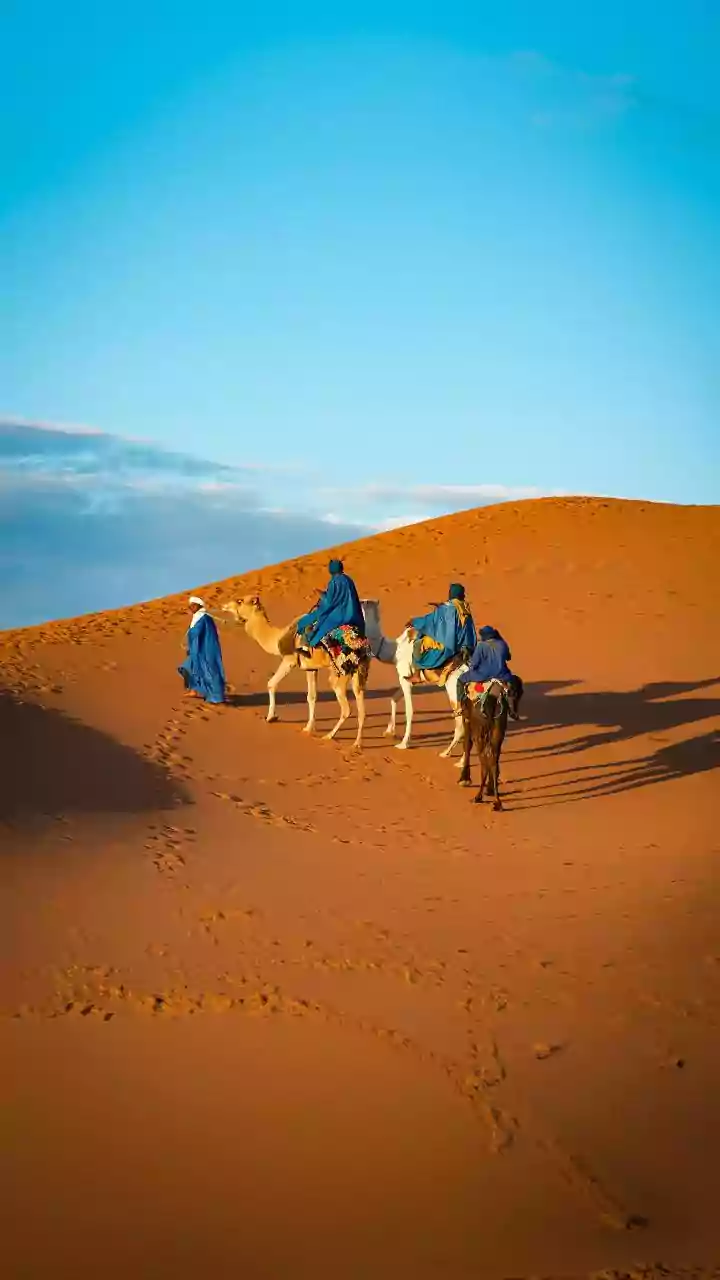 A guide to camel safaris in the Australian outback