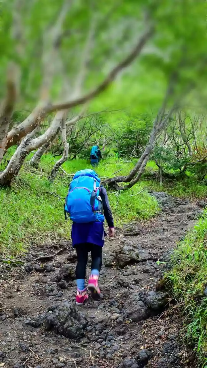 What to Verify Before Relying on AI for Hiking Routes and Trail Conditions