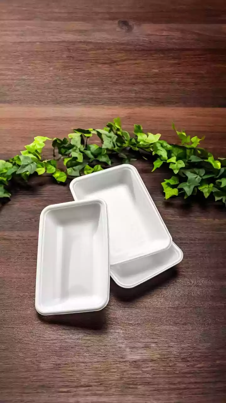 Micro-Green Harvesting Trays Transform Bright Apartment Windowsills Into Compact Indoor Organic Gardens