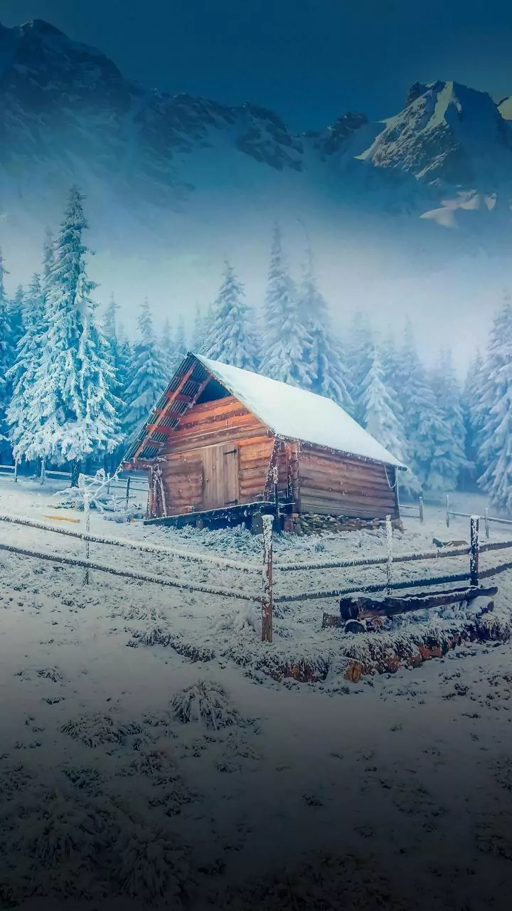 Related Stories banner