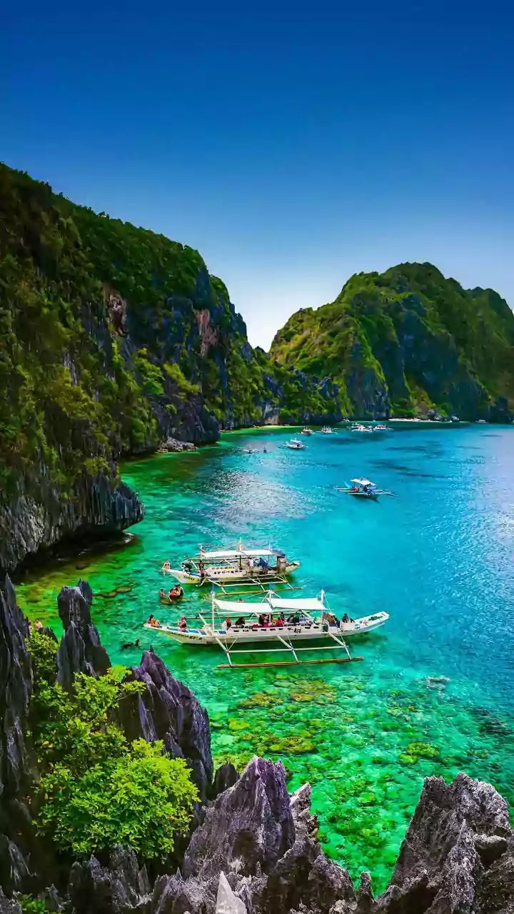 More Indian Travellers Choose Queensland for Reef and Rainforest Adventures
