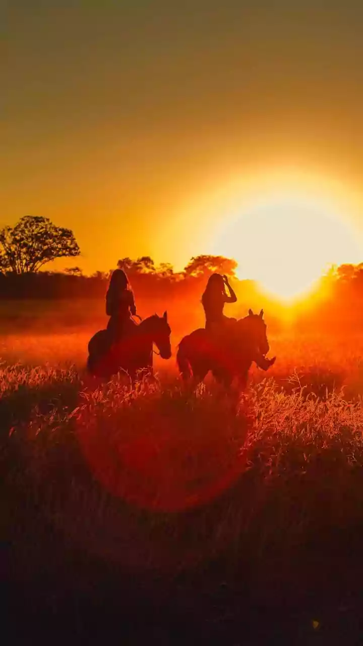 Horseback safari in Maasai Mara: The ultimate guide