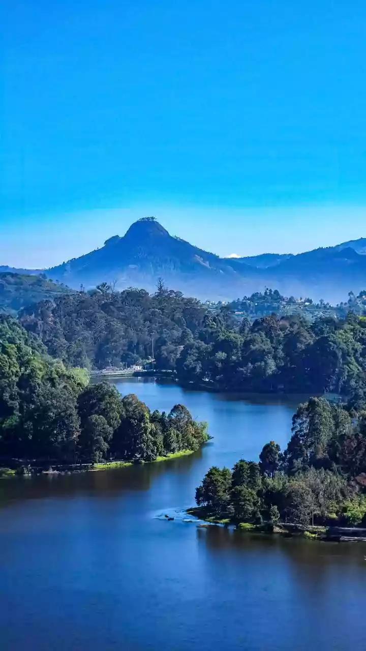 Kodaikanal: Star-shaped lake, hidden caves, pine forests and sunrise spots await this New Year travel season