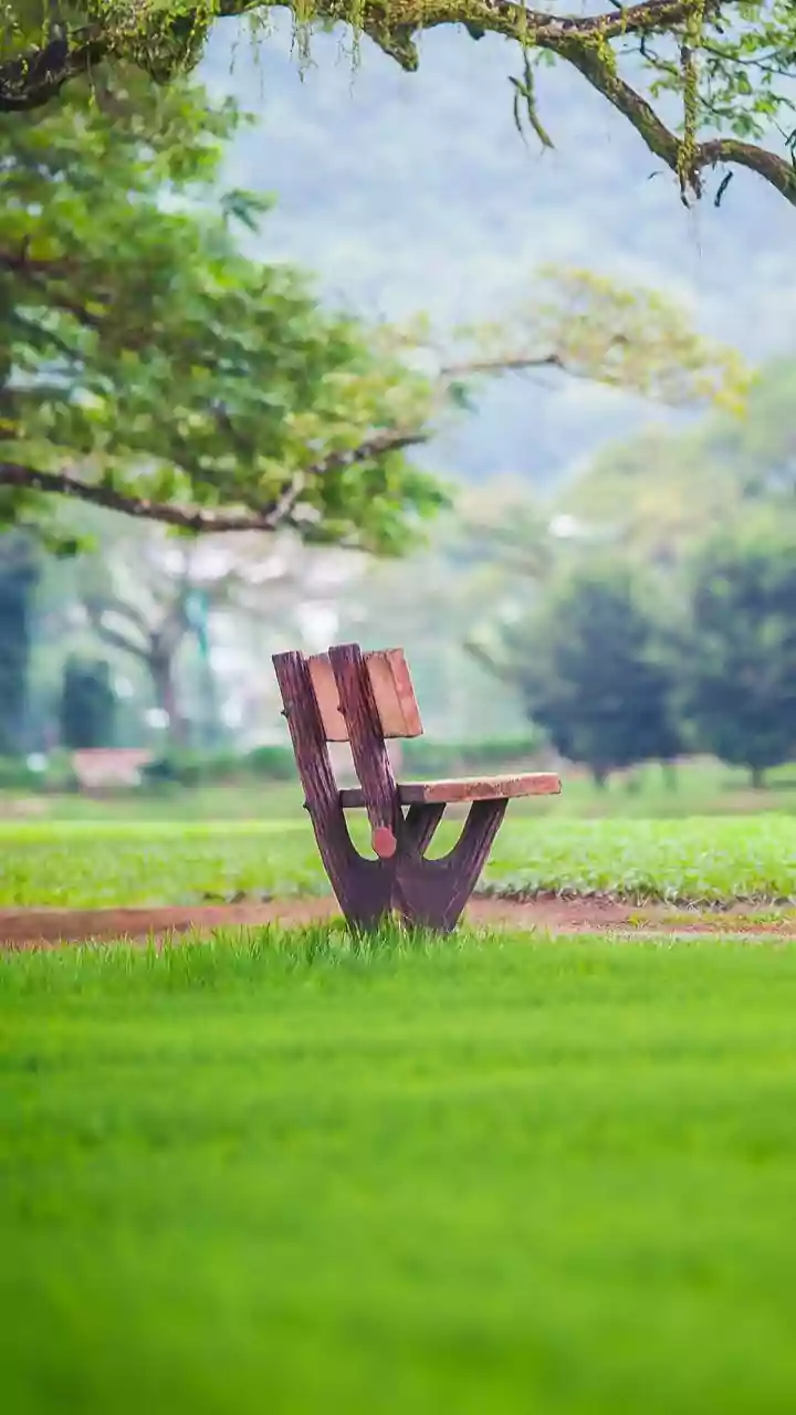 Unleash Your Inner Child: The Surprising Health Perks of Outdoor Musical Chairs!