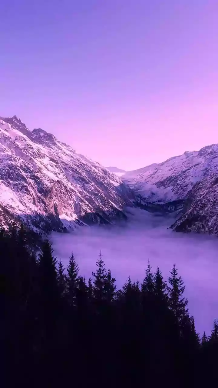 Maha Shivaratri 2026: Embrace Divine Energy Through Powerful Shiva Imagery