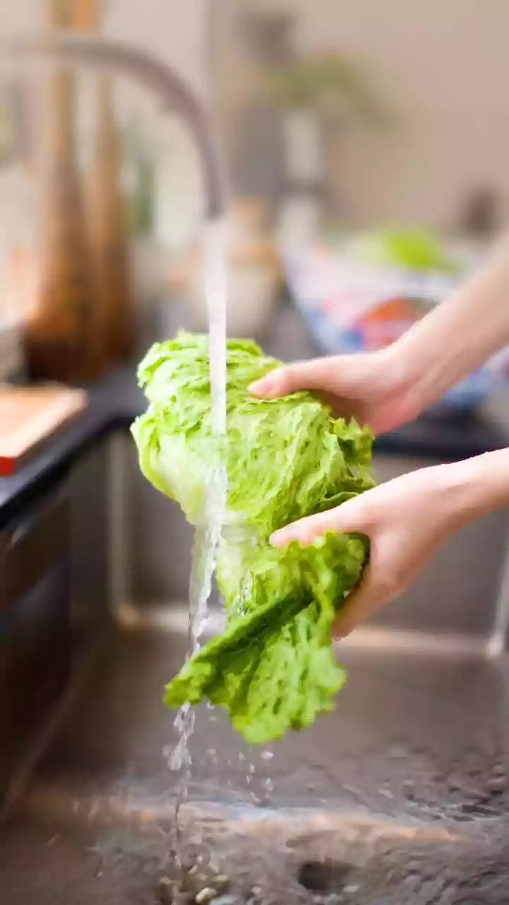 Summer Food Safety: Avoid These 4 Storage Blunders That Lead to Sickness