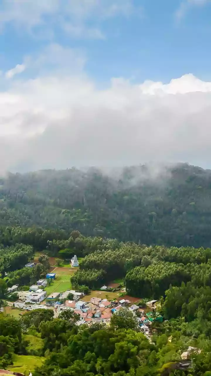High-Altitude Monsoon Escapes: Araku Valley Homestays Gain Ground For Urban Digital Detox