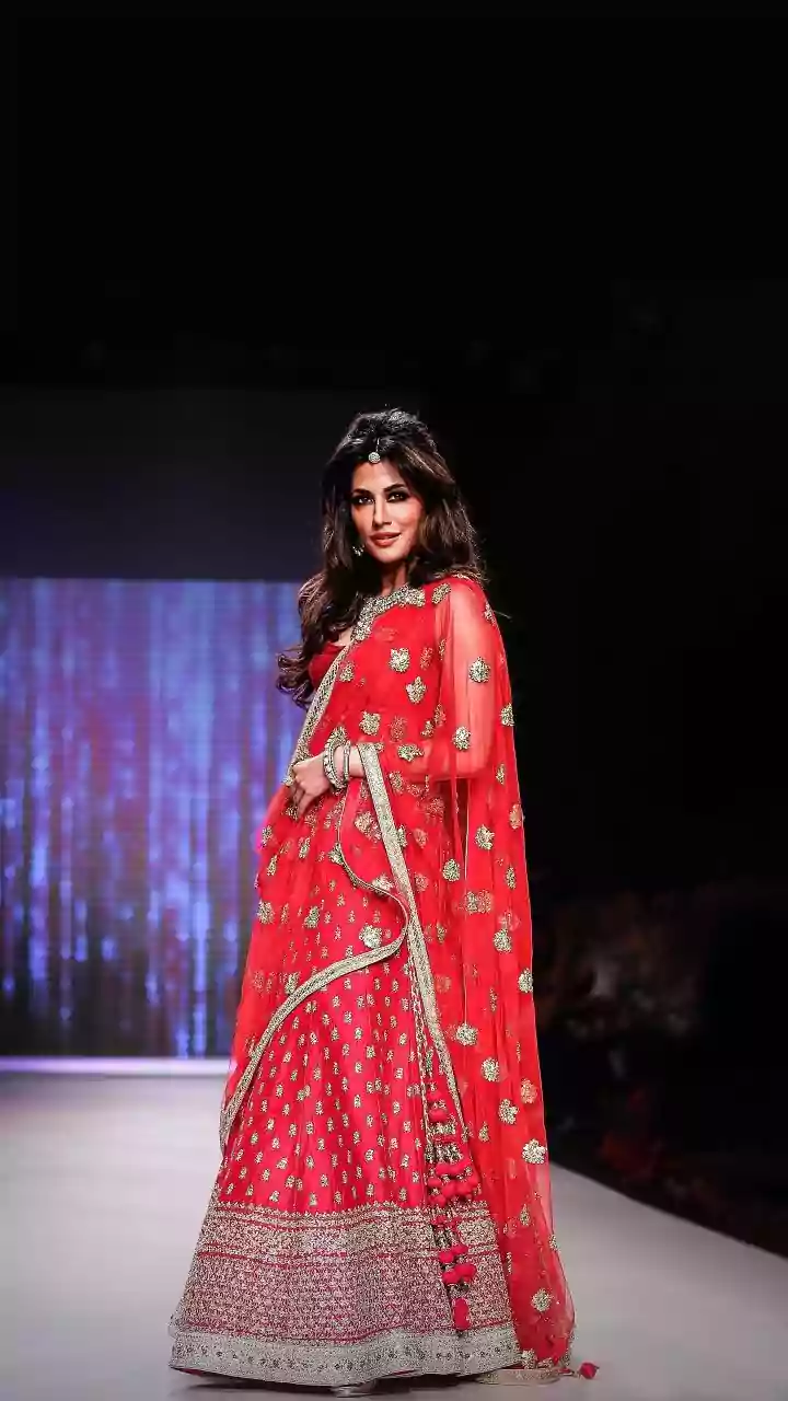 Chitrangda Singh's Glowing Skin Secret: The Indian Elixir