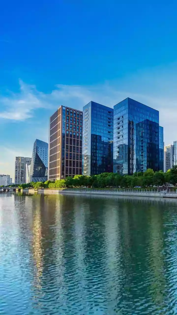 Indian Man's Experience: Navigating Toxic Office Politics Abroad