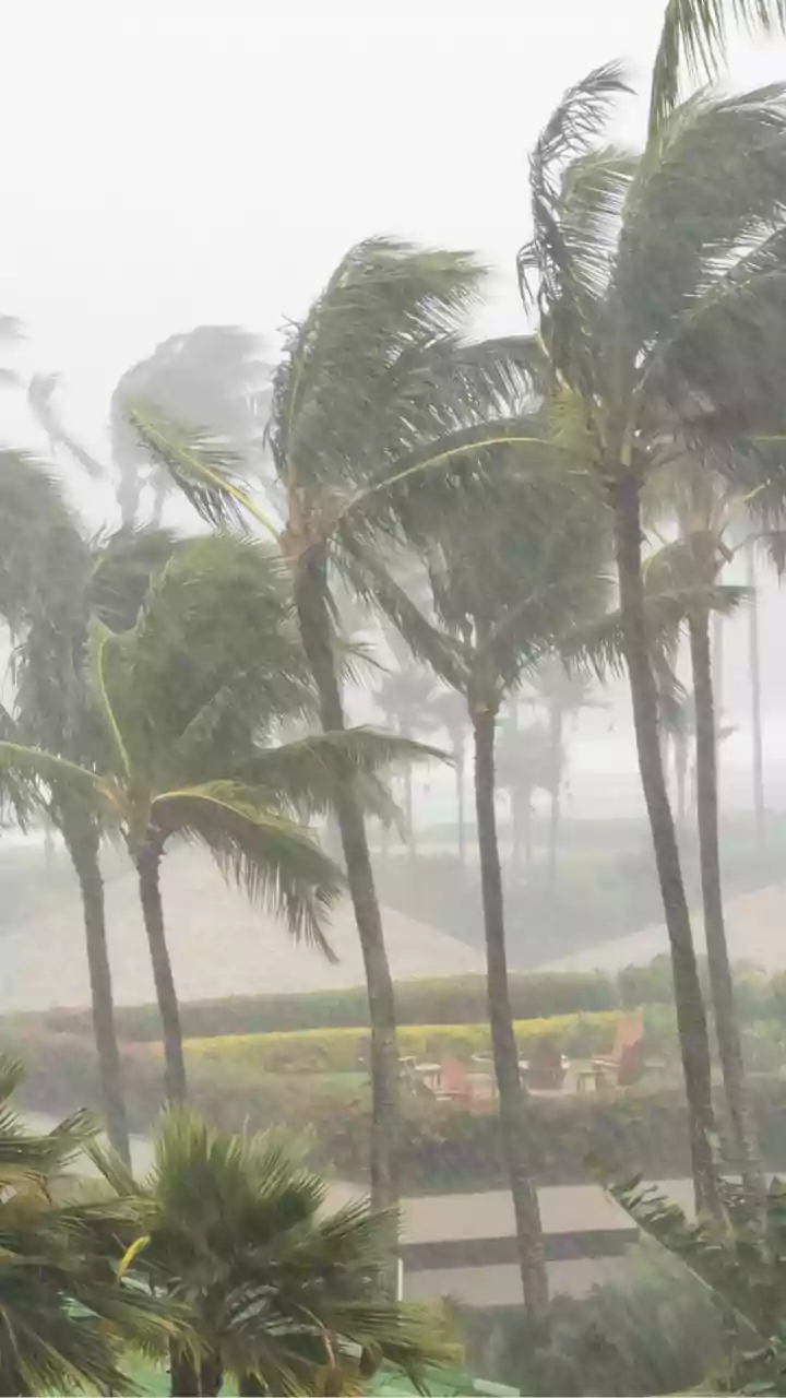 How Parametric Climate Insurance Can Protect Indian Agriculture