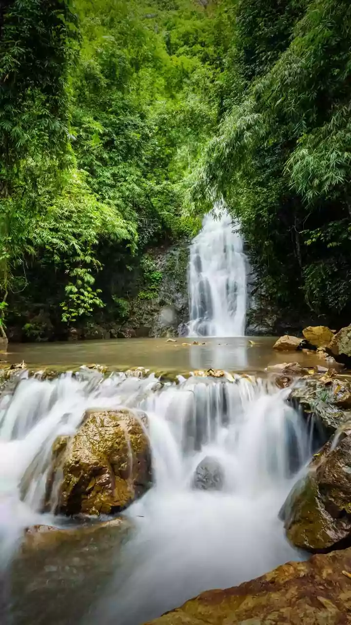Maharashtra’s Hidden Waterfalls Become New Picks For Nature-Focused Trips