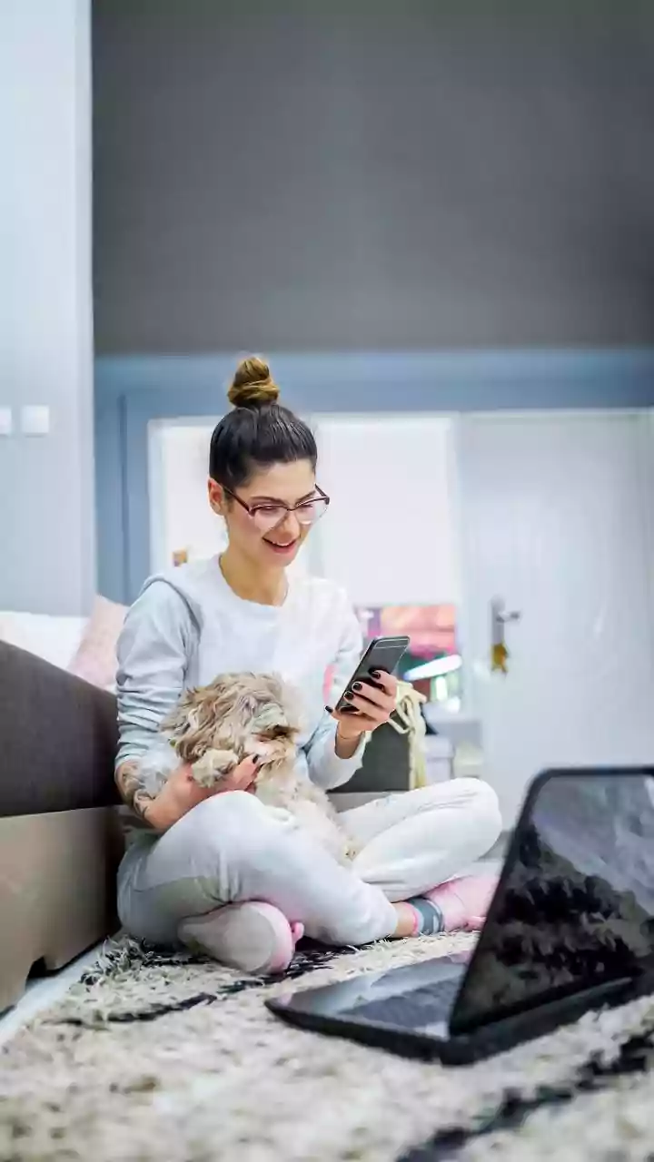 Online Pet-Care Shopping Is Quietly Booming