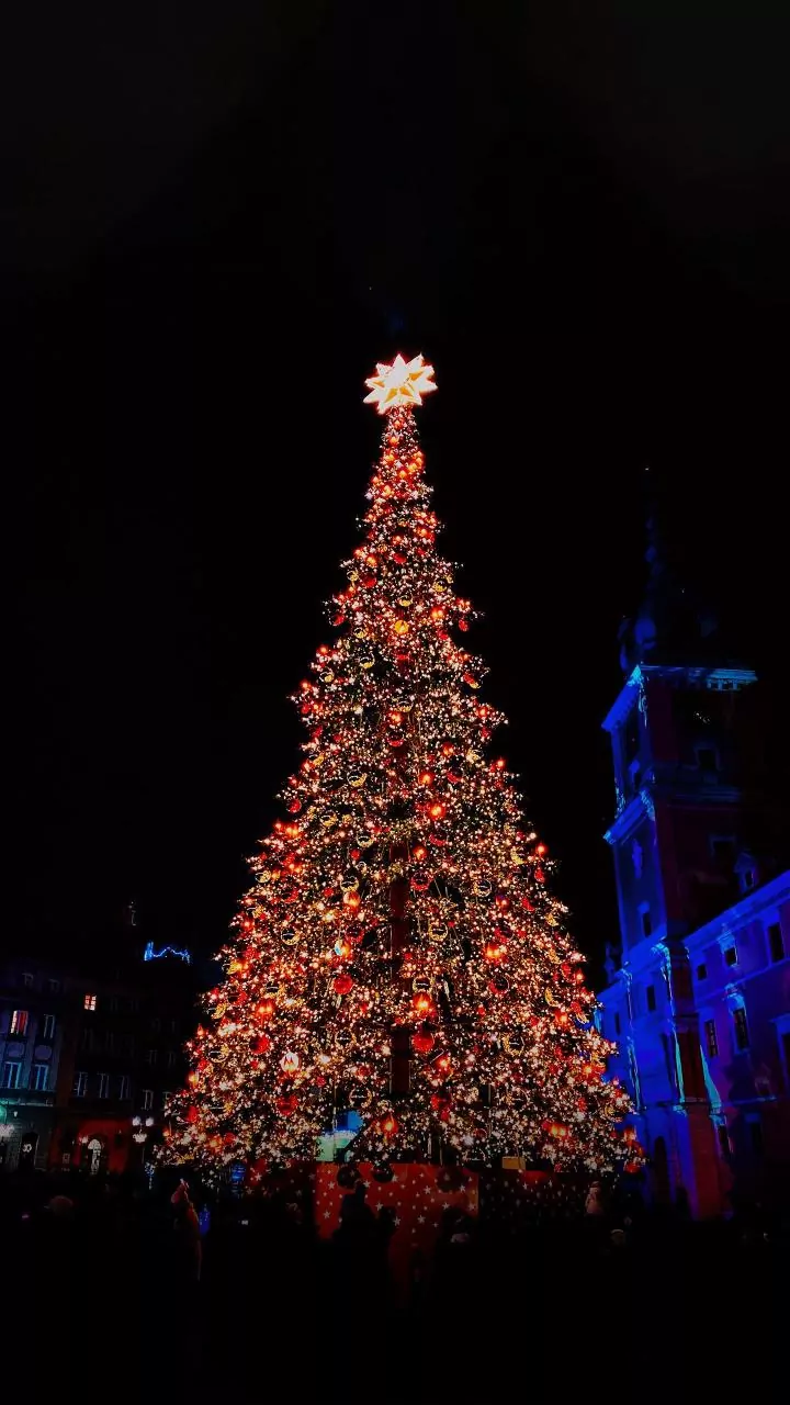 The Vatican Lights Up 25-Metre-Tall Christmas Tree At St. Peter’s Square To Mark Festive Season