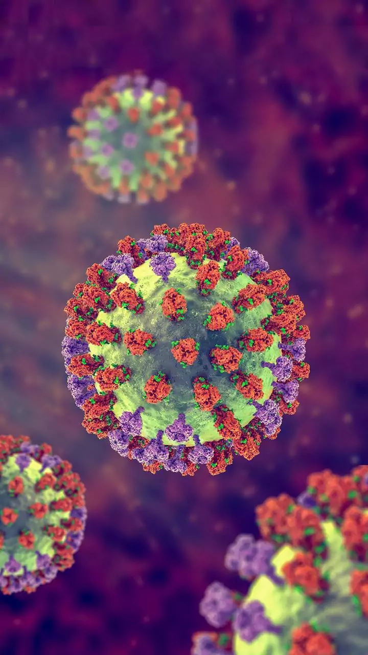 Nipah virus outbreak in India raises WHO alarm