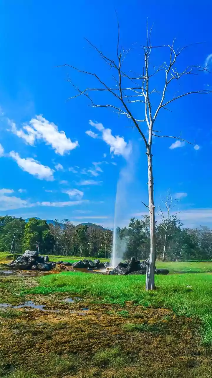 Kerala Woman's Failed Borewell Unearths Methane, Fueling Her Kitchen for Over a Decade