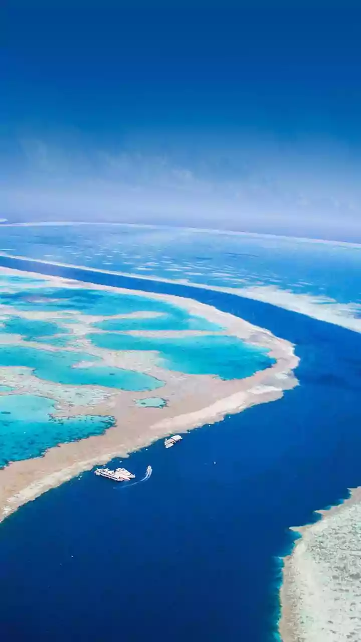 Sustainable Travel Protocols Preserve Delicate Lakshadweep Coral Reef Ecosystems Amid Surging Island Tourism