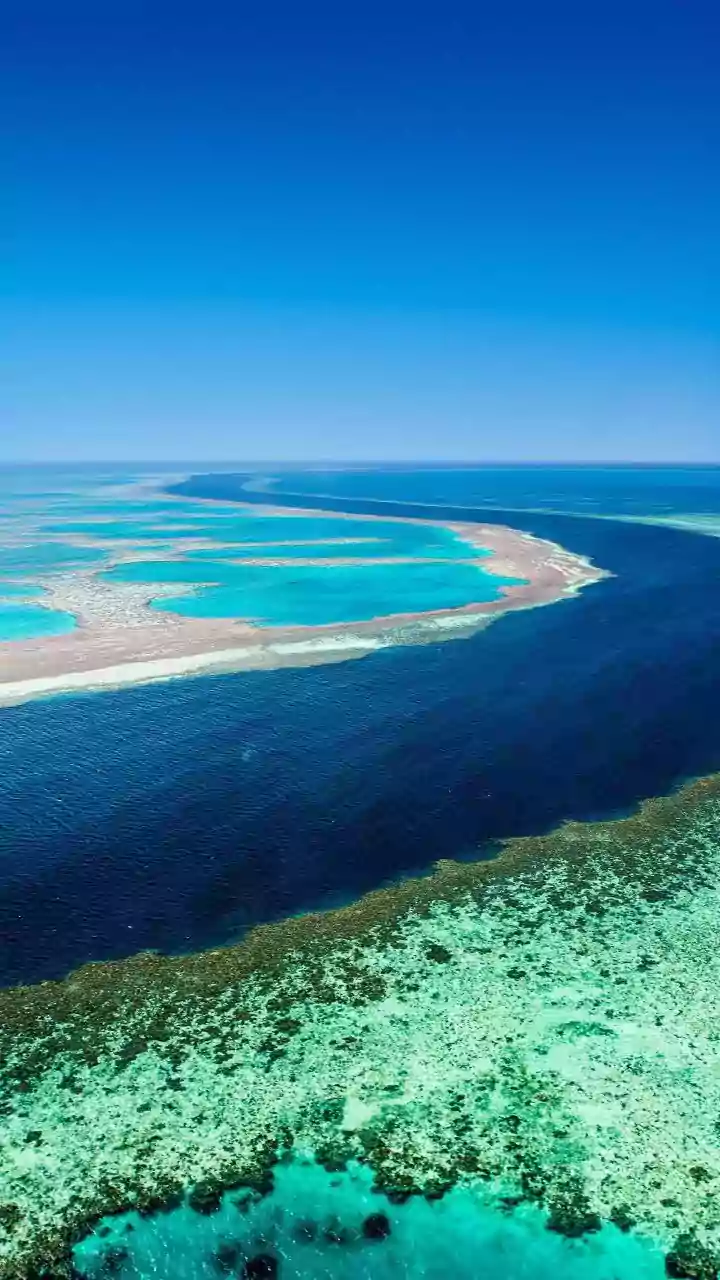 How Sustainable Travel Regulations Keep Lakshadweep Coral Lagoon Ecosystems Clean And Resilient Today