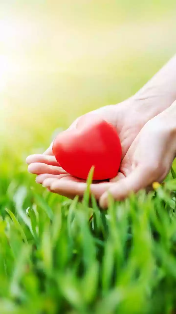 Four Essential Questions for Reigniting Your Heart: Ready for Love Again?