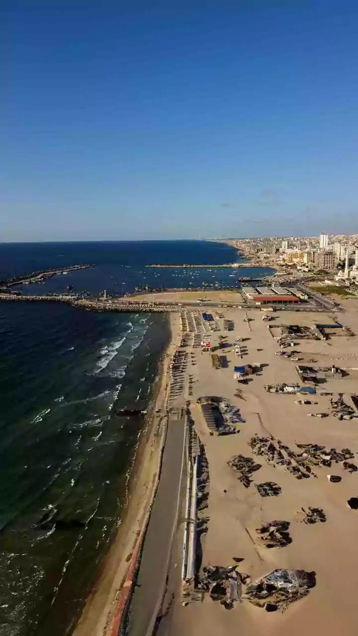 From PM Modi To Meloni: Who Has Been Invited To Join Trump's Gaza 'Board Of Peace'?