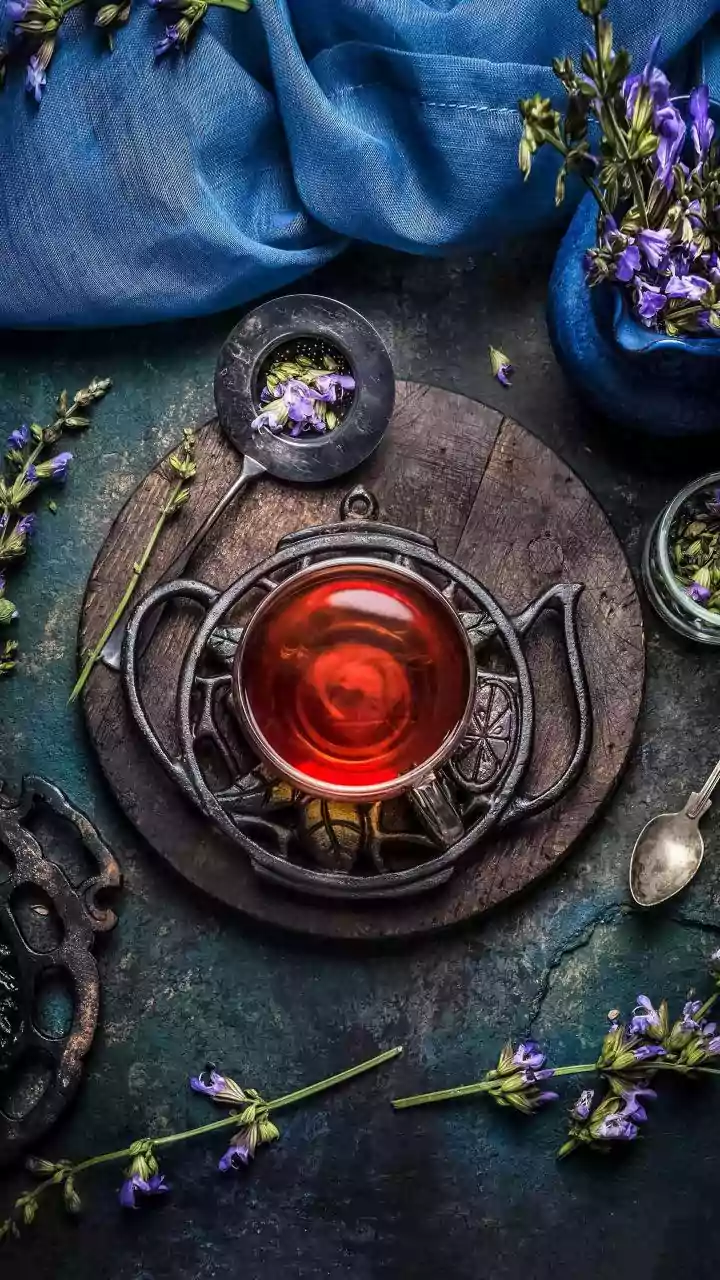 Rooibos Tea Has Less Tannin Than Regular Tea: Why That Matters