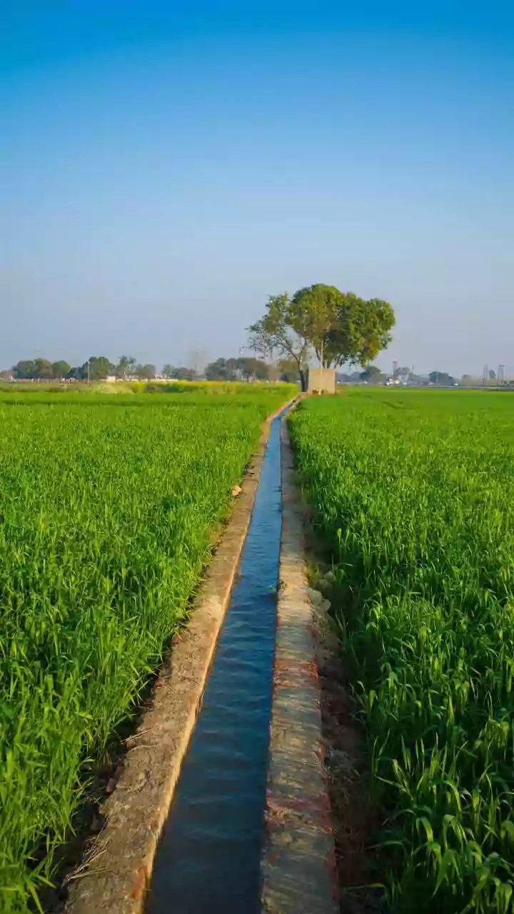 Understanding Climate-Smart Agriculture and Water Efficiency in Rural India