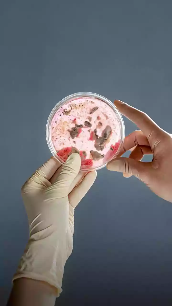 O que é acinetobacter? Superbactéria perigosa é encontrada em água de Porto Alegre