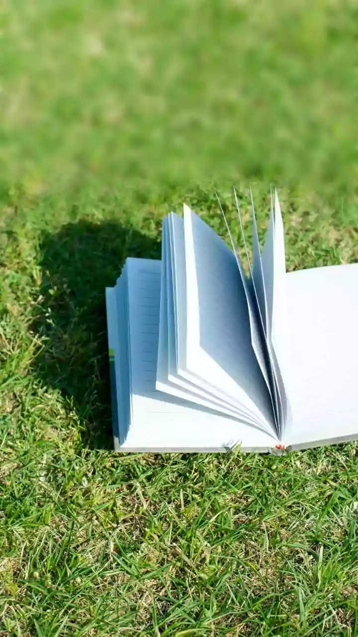 ECI clears ‘plantation records’ as valid SIR documents in north Bengal, says BJP’s Suvendu