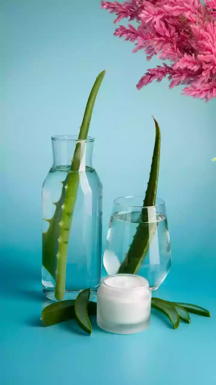 Orry's New Year's Eve Routine Included Aloe Vera On His Undereyes; Here Are The Benefits