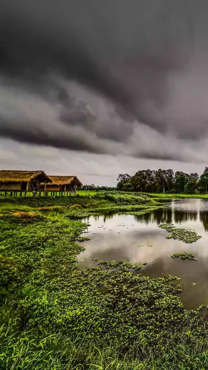 Loktak Lake: Manipur's Floating Wonder & India's Only Floating National Park
