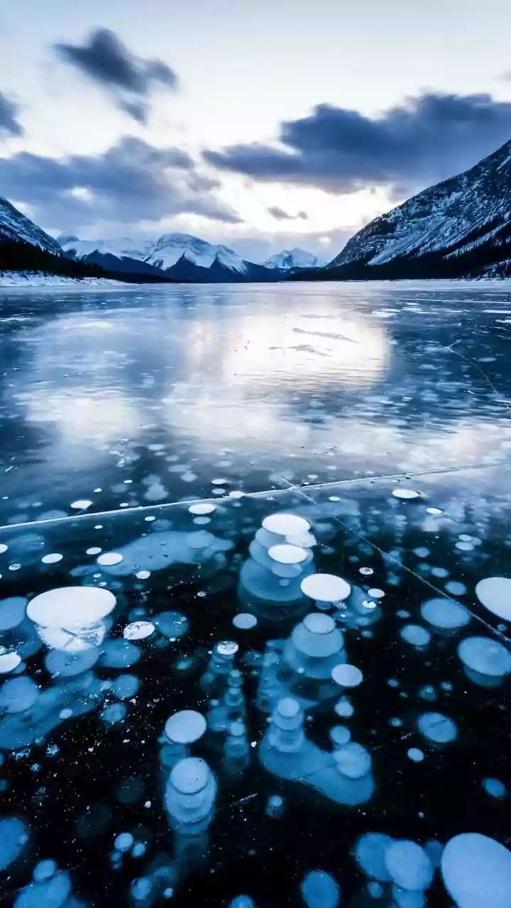 Methane, Oil And Strange Life Forms: Why A Hidden Arctic Ecosystem Has Alarmed Scientists